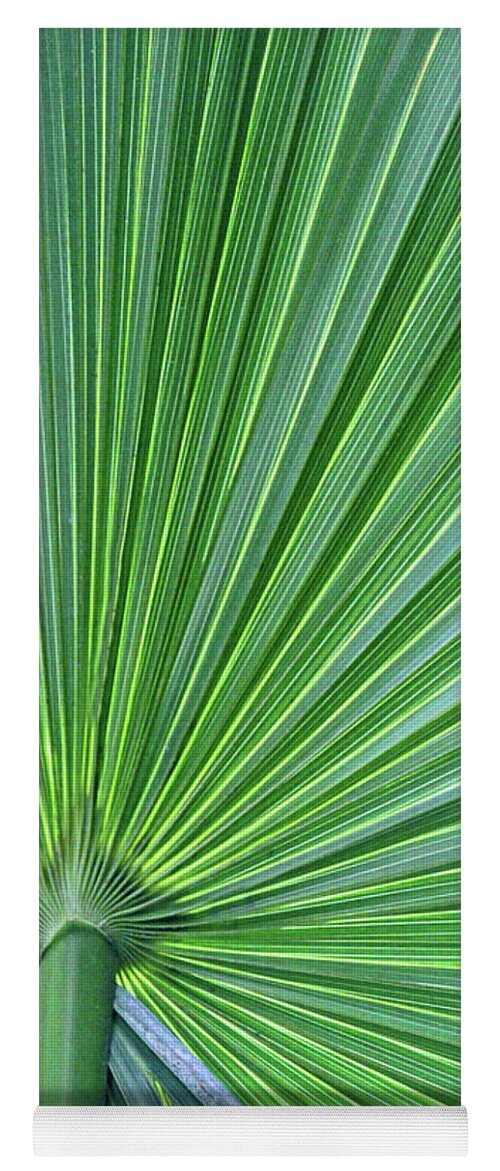 Green Yoga Mat featuring the photograph Palm by Carolyn Stagger Cokley
