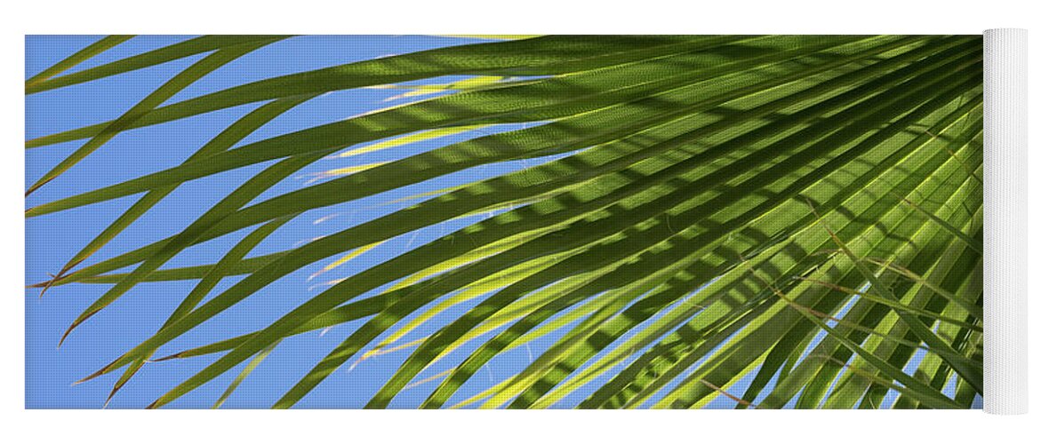 Palm Leaf Yoga Mat featuring the photograph Palm frond and blue sky, summer on the beach by Adriana Mueller