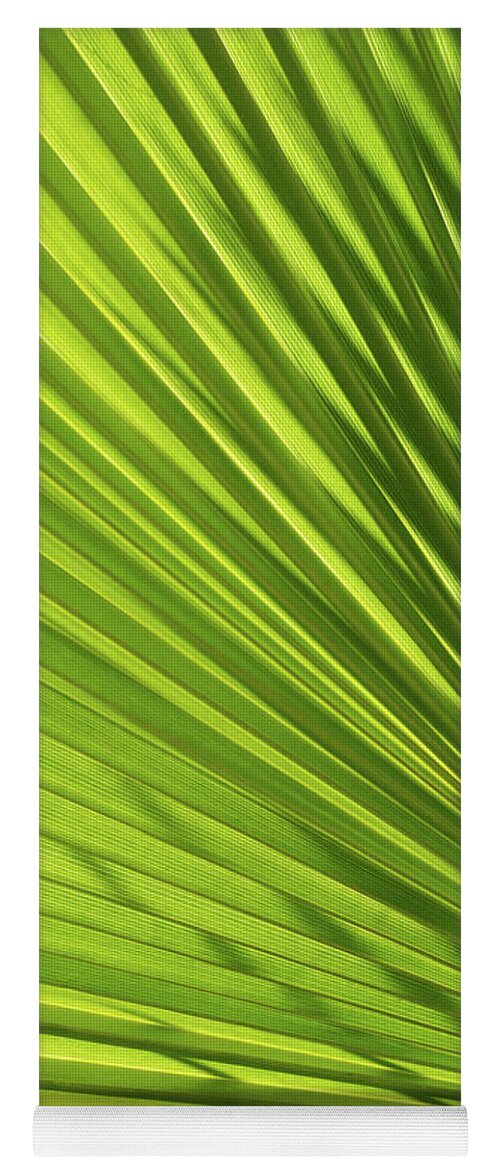 Palm Leaf Yoga Mat featuring the photograph Palm leaf with light and shadow 2 by Adriana Mueller
