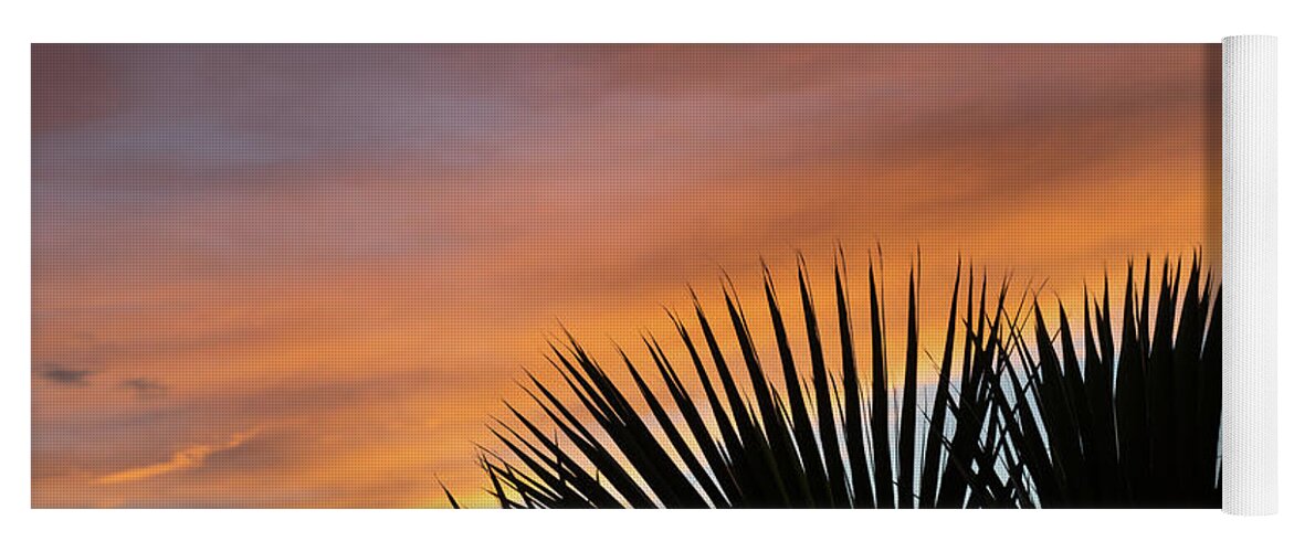 Palm Leaves Yoga Mat featuring the photograph Palm leaves and soft clouds at sunset by Adriana Mueller