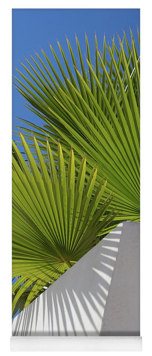 Palm Leaf Yoga Mat featuring the photograph Green palm leaves, blue sky and white wall of a modern finca 1 by Adriana Mueller