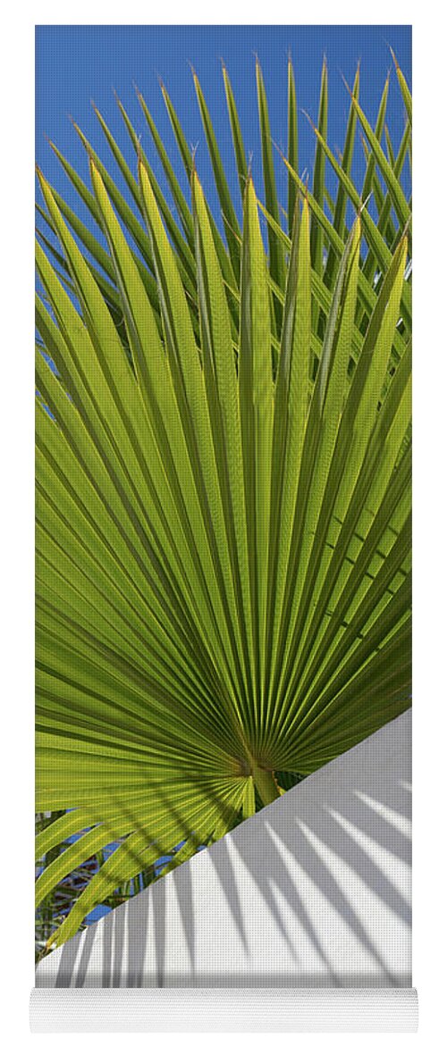 Palm Leaf Yoga Mat featuring the photograph Green palm leaves, blue sky and white wall of a modern finca 2 by Adriana Mueller