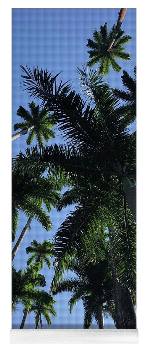 Rio De Janeiro Yoga Mat featuring the photograph Palm tree art by Bettina X
