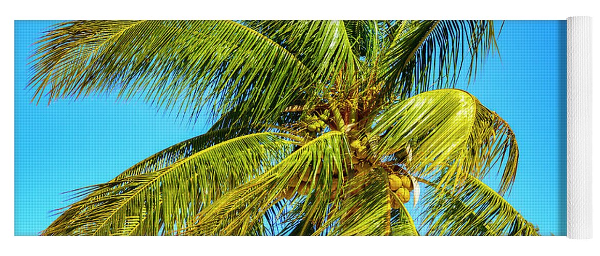 Ckies; Trees; Travel Yoga Mat featuring the photograph Palm Tree in the Bahamas by AE Jones