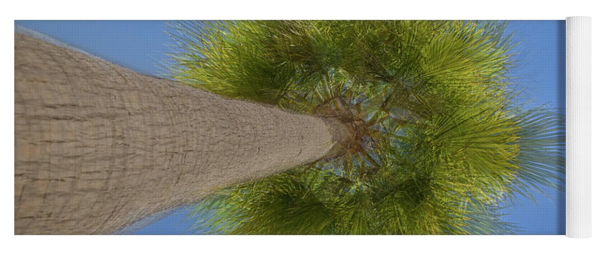 Palm Tree Yoga Mat featuring the photograph Palm Tree Multi by Linda Villers