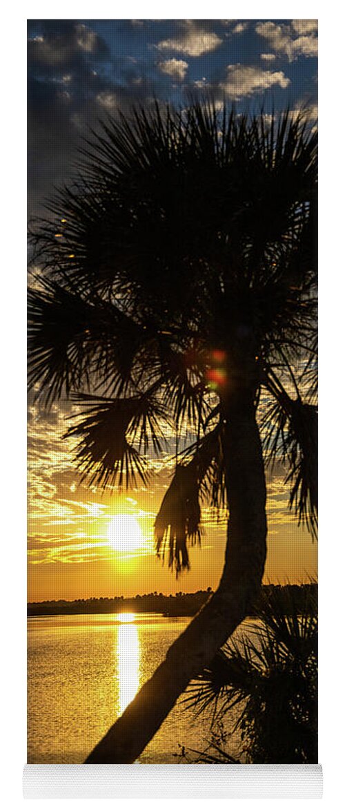 Sunset Yoga Mat featuring the photograph Palm Tree Sunset by Rocco Silvestri