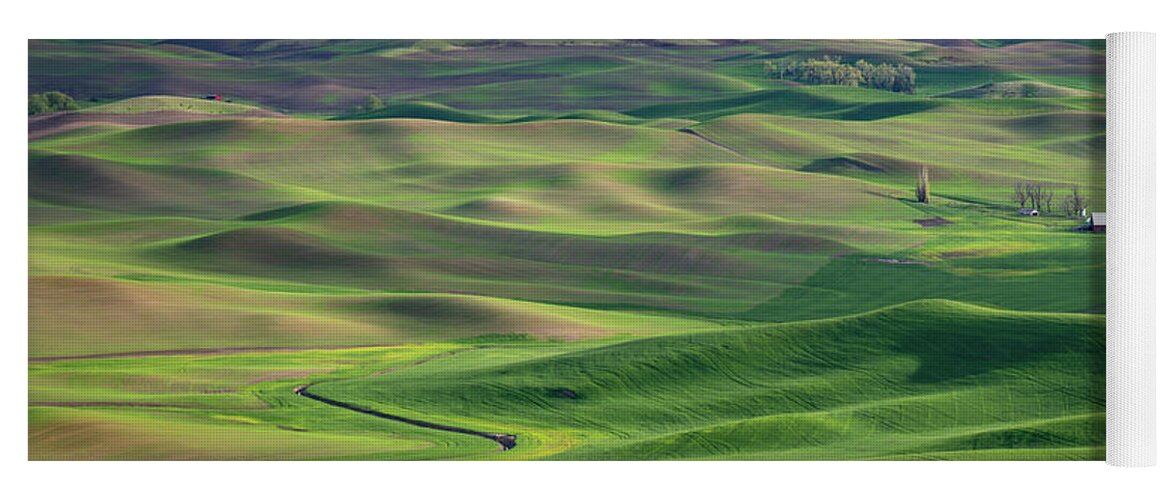 Landscape Yoga Mat featuring the photograph Palouse Landscape #1 by Greg Waddell