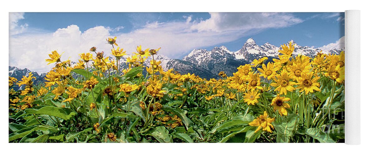 Dave Welling Yoga Mat featuring the photograph Panoramic Balsamroot Below The Teton Range by Dave Welling
