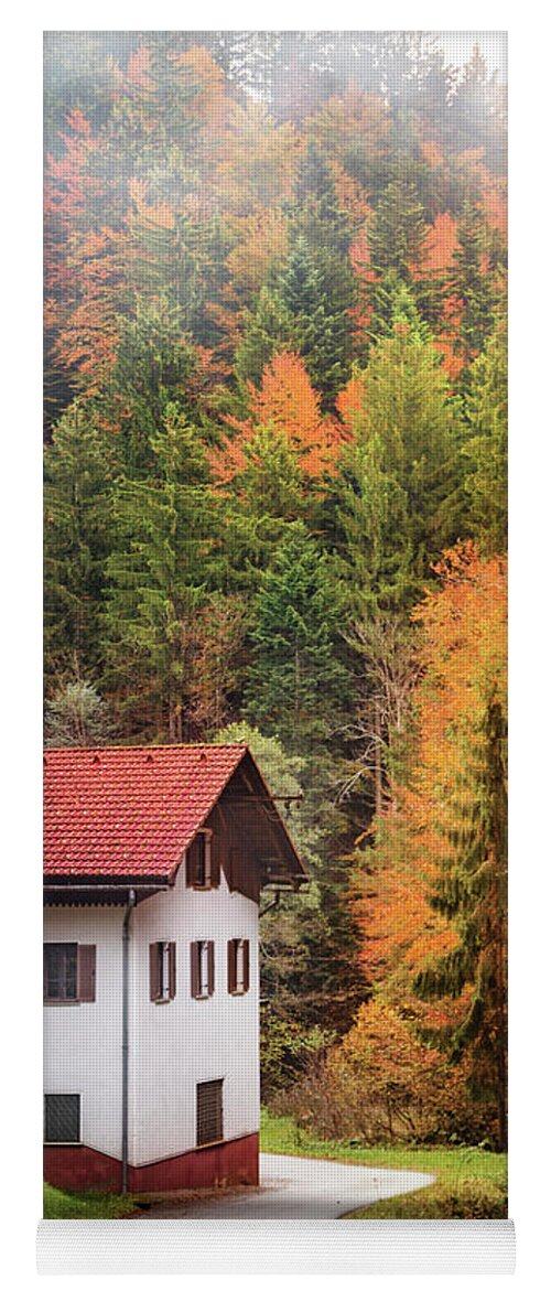 Kremsdorf Yoga Mat featuring the photograph Passage Into Autumn by Evelina Kremsdorf