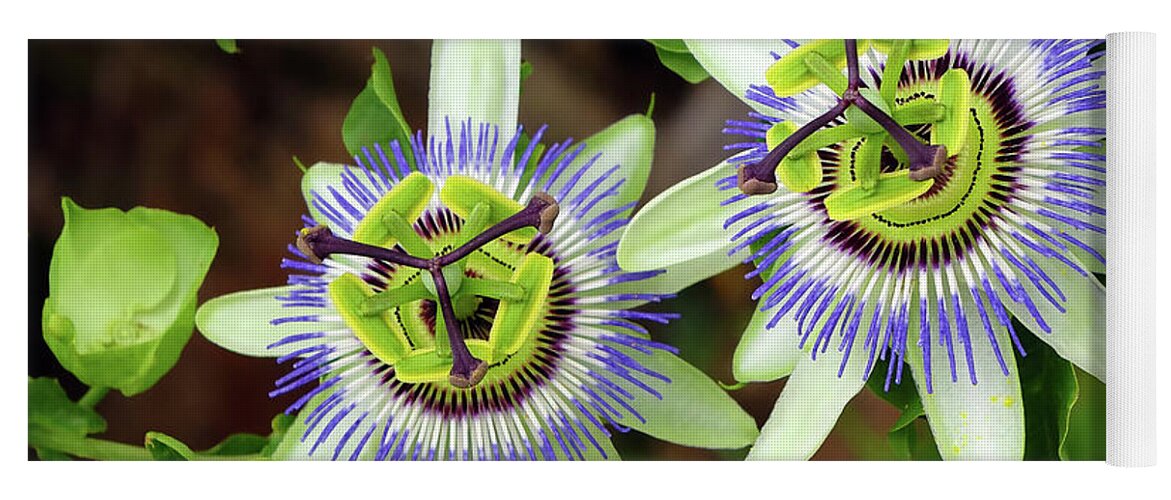 Passion Flowers Yoga Mat featuring the digital art Passion Flowers 09921 by Kevin Chippindall