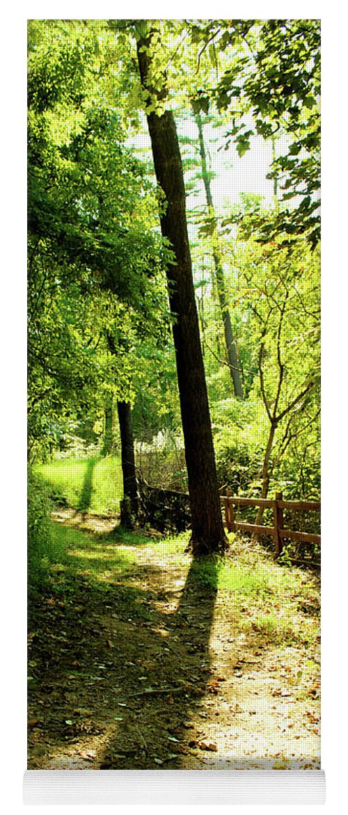 Trees Yoga Mat featuring the photograph Path out of Summer by Christopher Reed
