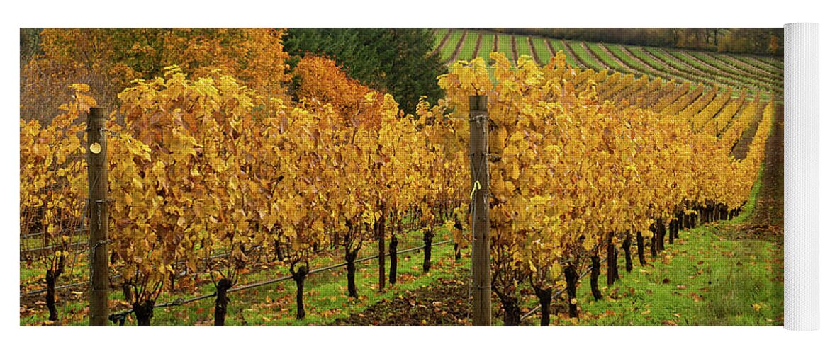 Vineyard Yoga Mat featuring the photograph Patterns of Fall in the Vineyard by Leslie Struxness