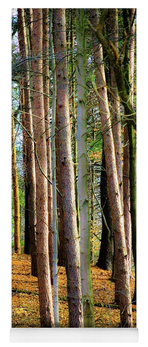 Nature Yoga Mat featuring the photograph Peaceful Refuge by Mary Walchuck