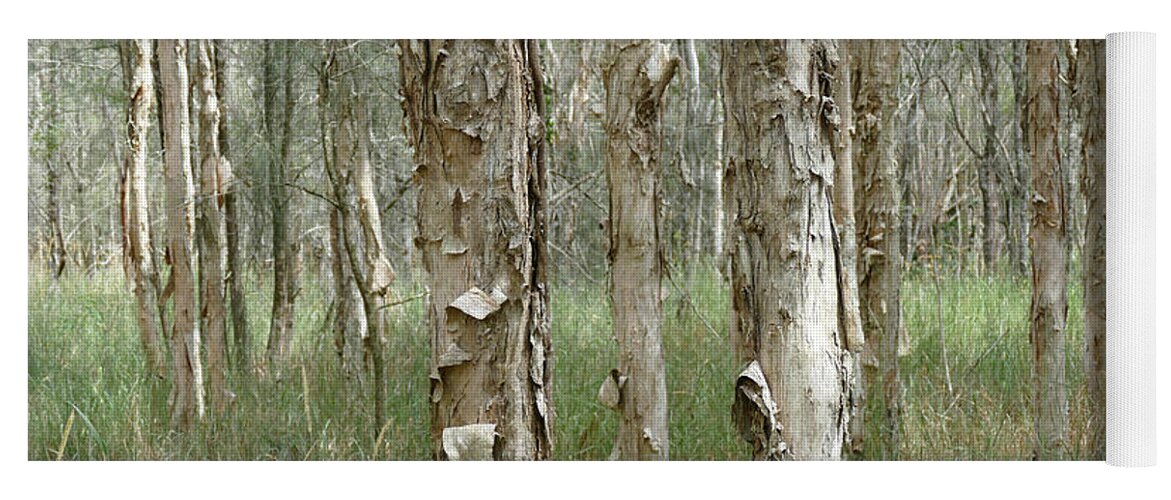 Landscape Yoga Mat featuring the photograph Peek through the Paperbark Forest by Maryse Jansen