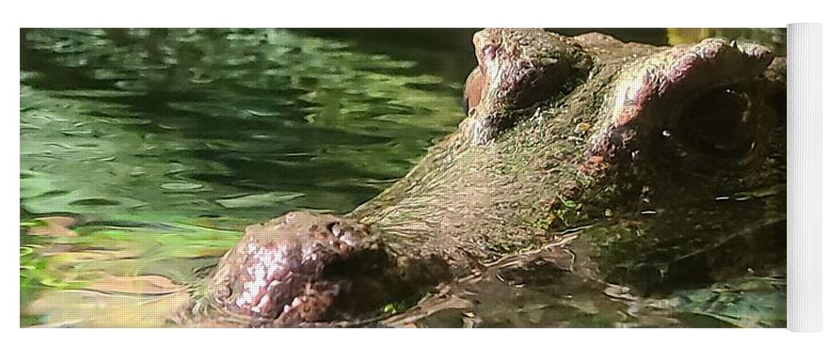 Alligator Yoga Mat featuring the photograph Peekaboo Caiman by Elena Pratt