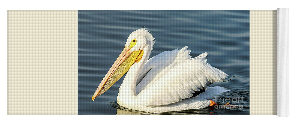 American White Pelican Yoga Mat featuring the photograph Pelican Beauty by Joanne Carey