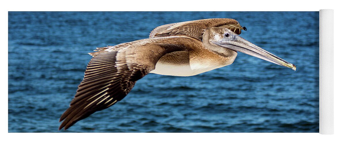 Pelican Yoga Mat featuring the photograph Pelican In Flight by Beachtown Views