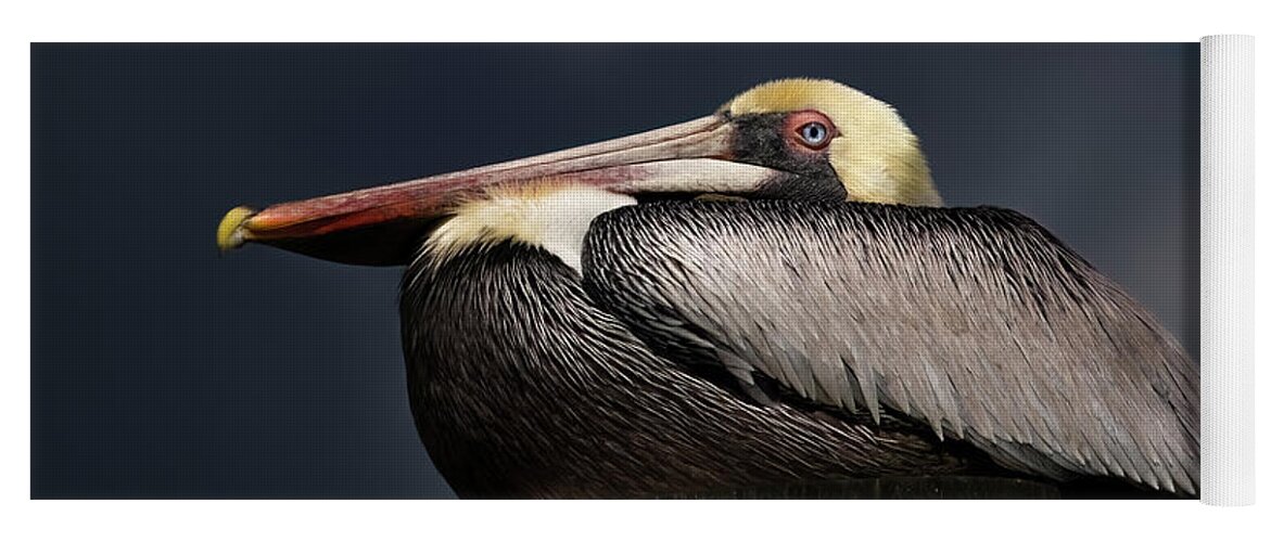Birds Yoga Mat featuring the photograph Pelican on a Pole by Larry Marshall