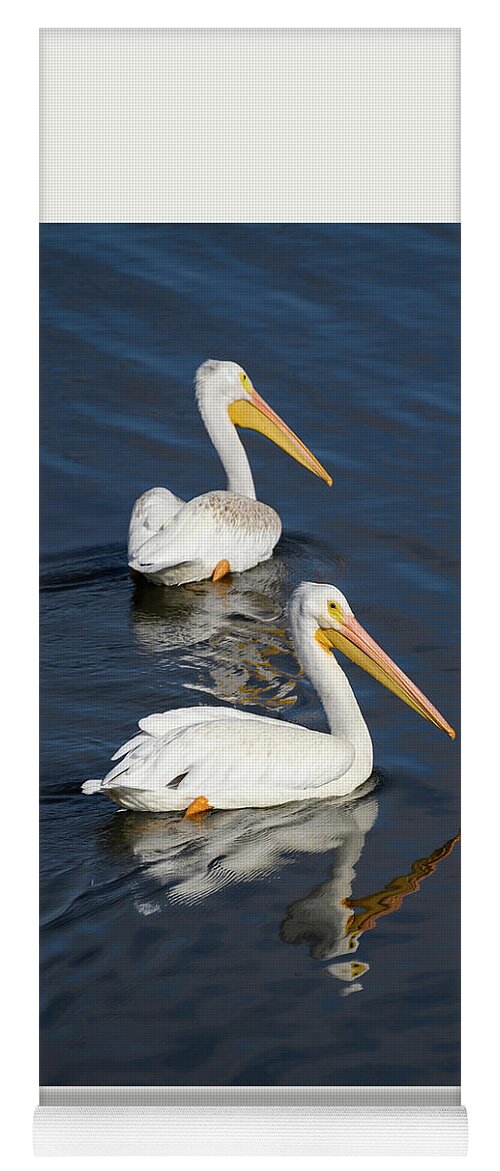 Bird Yoga Mat featuring the photograph Pelican Reflection by Grant Twiss