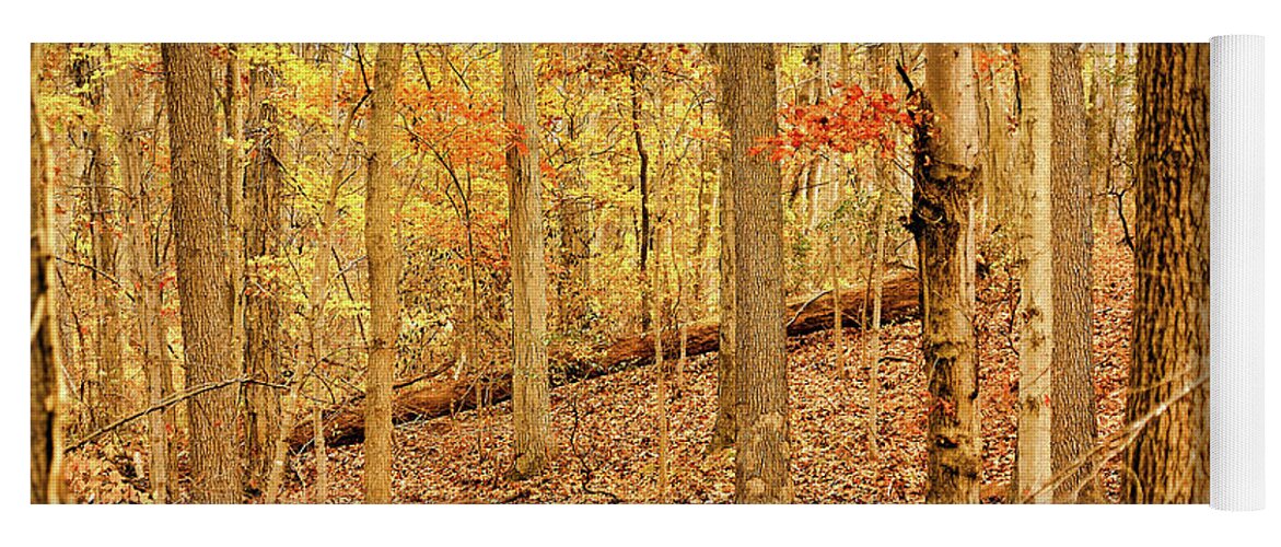Woods Yoga Mat featuring the photograph Pennsylvania Woodland by Susan Maxwell Schmidt