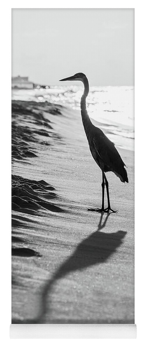 2018 Yoga Mat featuring the photograph Pensacola Beach Florida Heron Black and White Photo by Paul Velgos