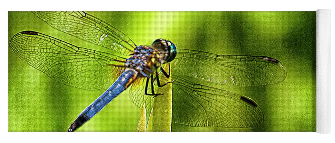 Dragonfly Yoga Mat featuring the photograph Pensive Dragon by Bill Barber
