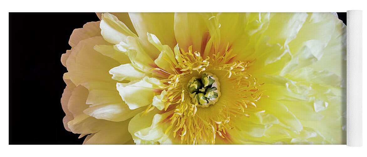 Flowers Yoga Mat featuring the photograph Peony by David Lee