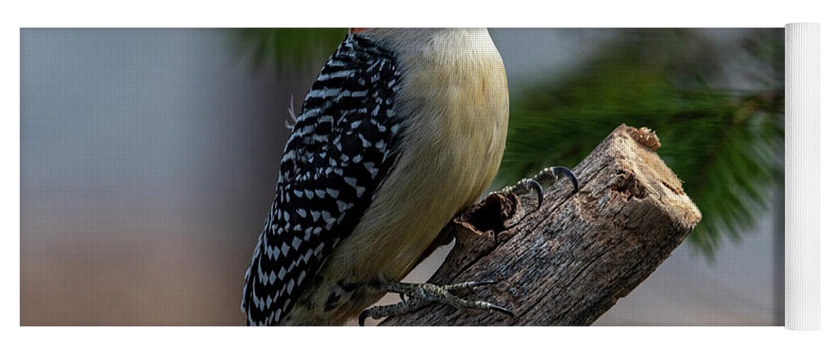 Woodpecker Yoga Mat featuring the photograph Perched by Cathy Kovarik