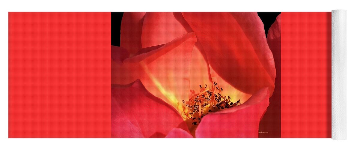 Rose Yoga Mat featuring the photograph Petals Aflame by Angela Davies
