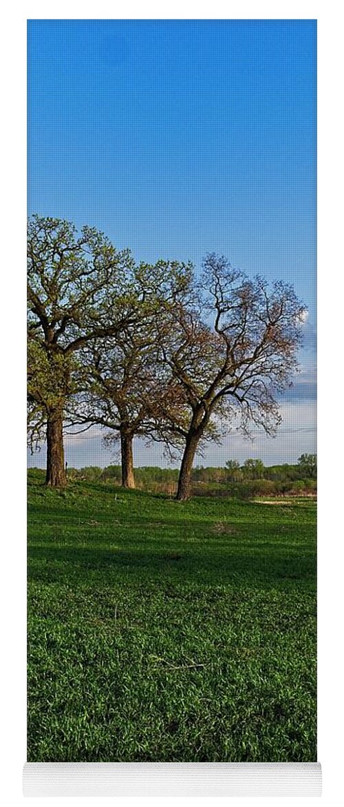 Middleton Yoga Mat featuring the photograph Pheasant Branch Conservancy 2, Middleton, WI by Steven Ralser