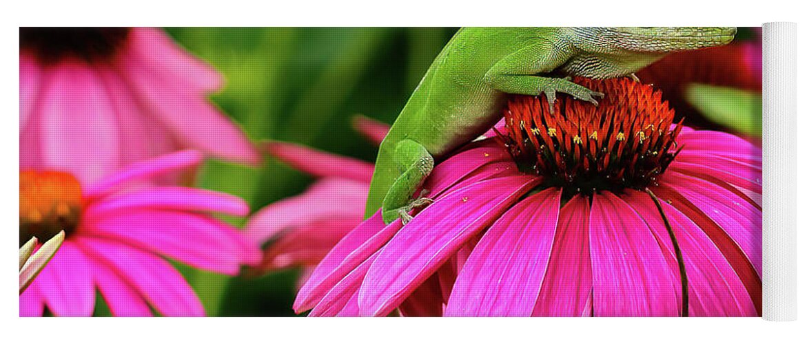 Pink Yoga Mat featuring the photograph Pink and Green by Pam Rendall
