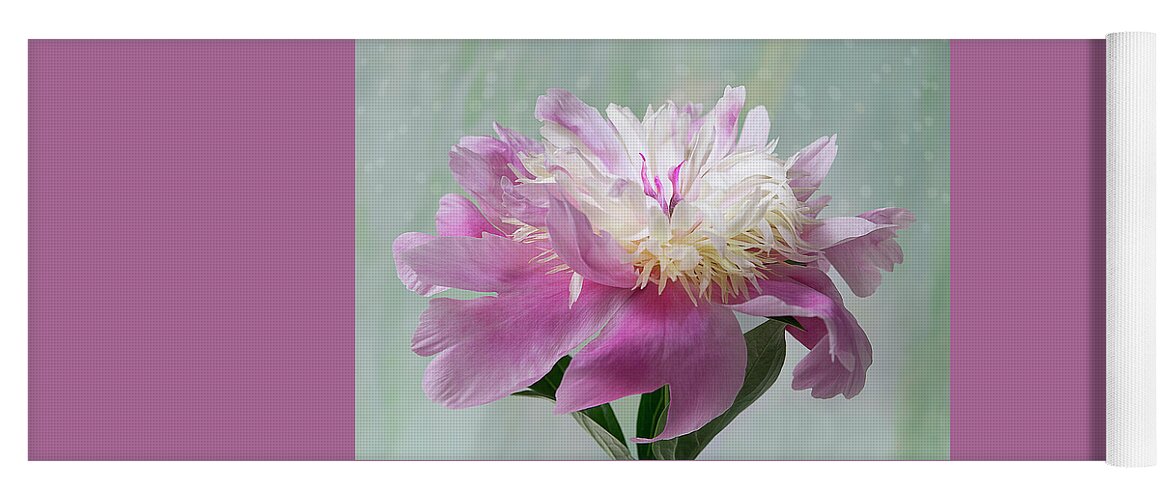 Flower Yoga Mat featuring the photograph Pink and White Peony by Patti Deters