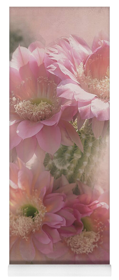 Black Cactus Yoga Mat featuring the digital art Pink Blooms of Tucson by Steve Kelley