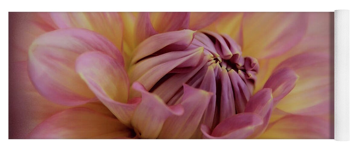 Pink Yoga Mat featuring the photograph Pink Dahlia Sensation by Sally Bauer