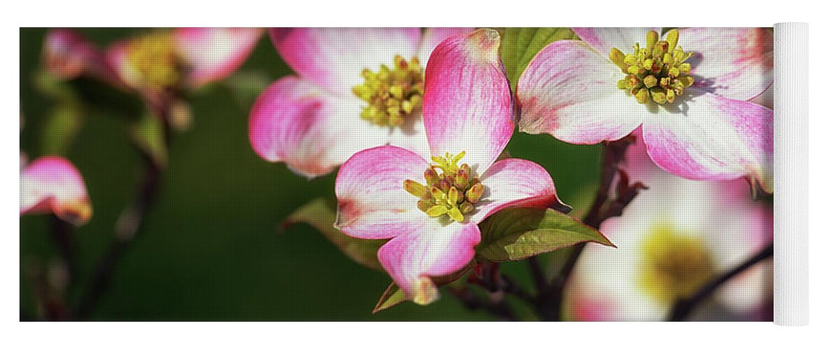 Pink Dogwood Yoga Mat featuring the photograph Pink Dogwood Blossoms by Susan Rissi Tregoning