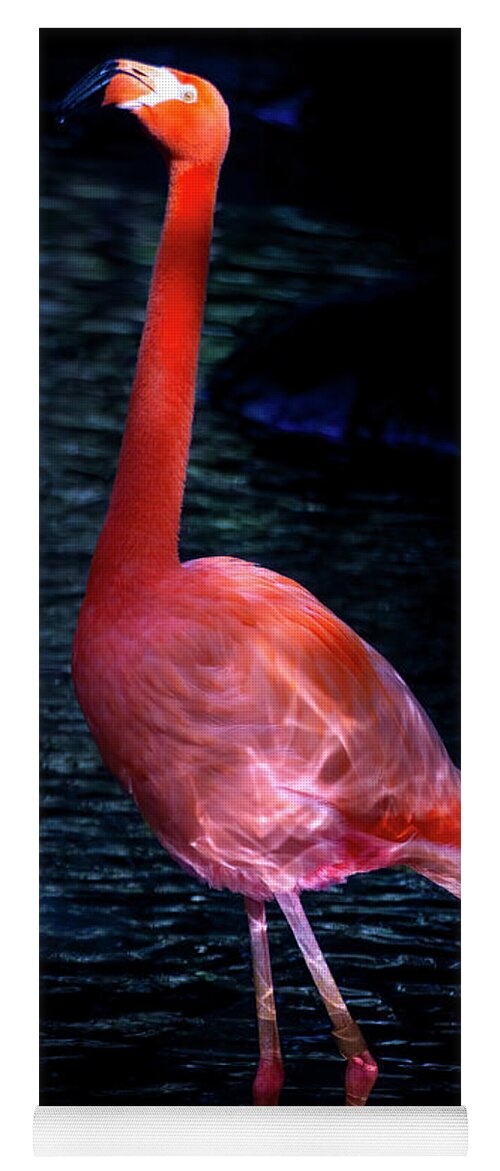 Pink Flamingos Yoga Mat featuring the photograph Pink Flamingo 5 by Mark Andrew Thomas