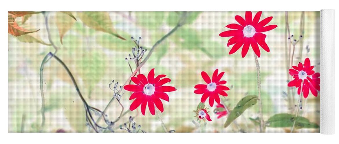 Flowers Yoga Mat featuring the photograph Happy Red Daisies by Missy Joy