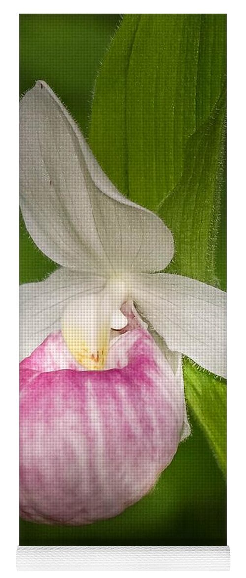 Flower Yoga Mat featuring the photograph Pink Lady's Slipper by Susan Rydberg