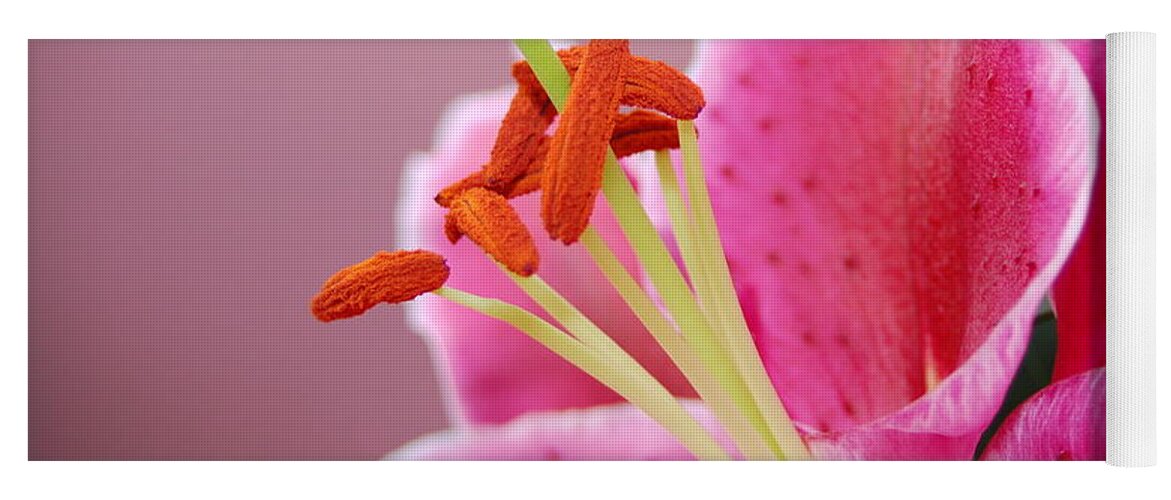 Lily Yoga Mat featuring the photograph Pink Lily 4 by Amy Fose