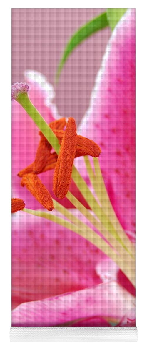 Lily Yoga Mat featuring the photograph Pink Lily 5 by Amy Fose