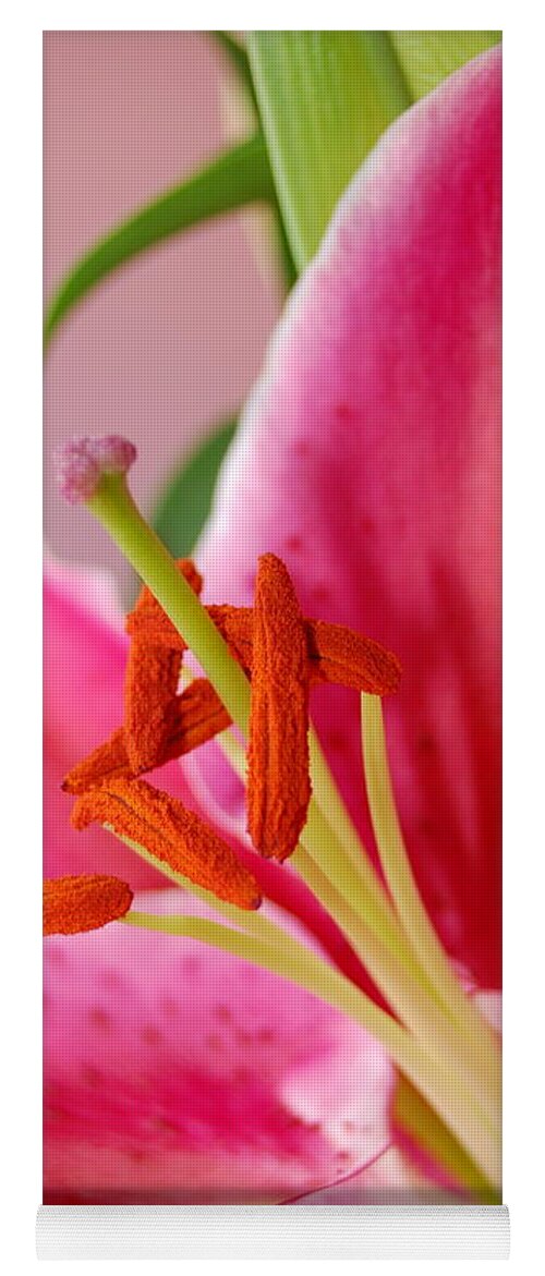 Lily Yoga Mat featuring the photograph Pink Lily 6 by Amy Fose