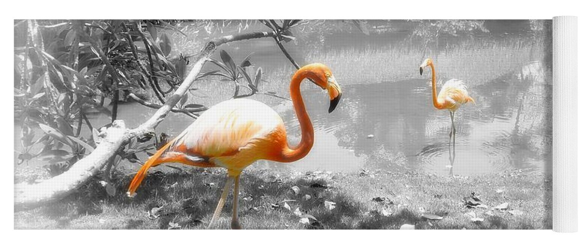 Bird Yoga Mat featuring the photograph Pink Orange Flamingo Photo 212 by Lucie Dumas
