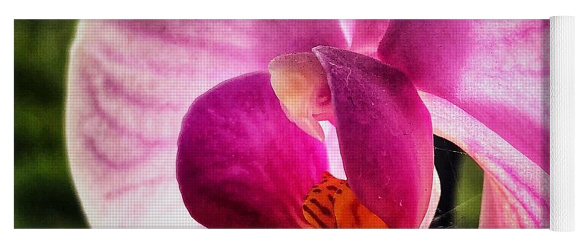 Orchid Yoga Mat featuring the photograph Pink Orchid by Mark Egerton