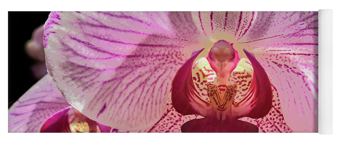 Pink Yoga Mat featuring the photograph Pink Orchid by Steve Ondrus