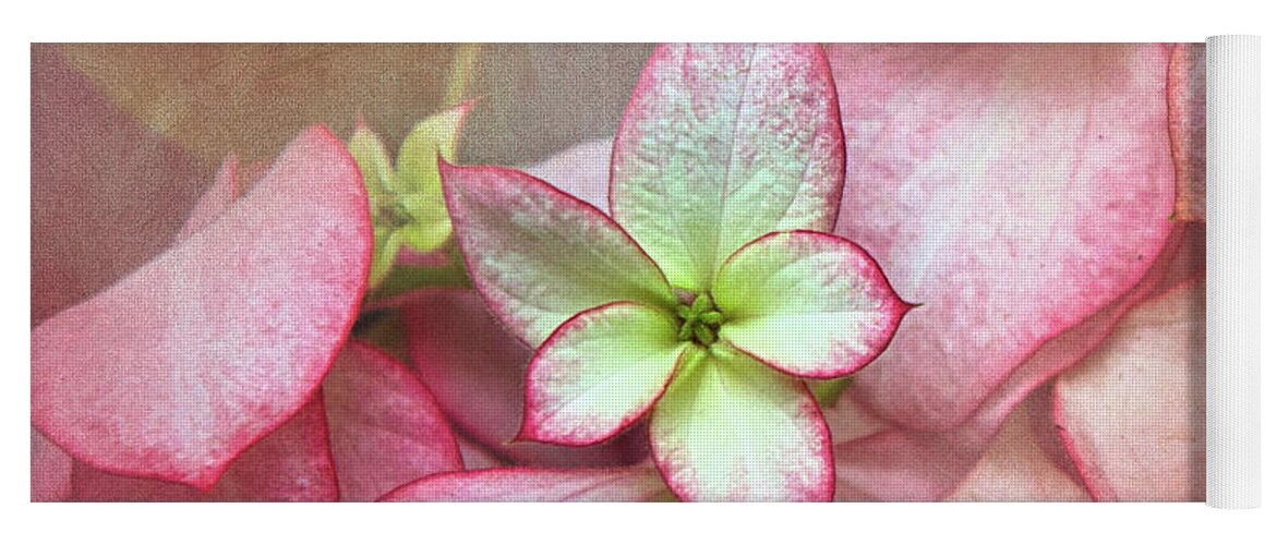 Christmas Tradition Yoga Mat featuring the digital art Pink Poinsettia Textures by Amy Dundon