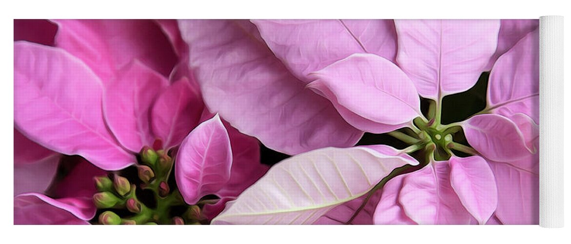 Face Mask Yoga Mat featuring the photograph Pink Poinsettias Square Format by Theresa Tahara