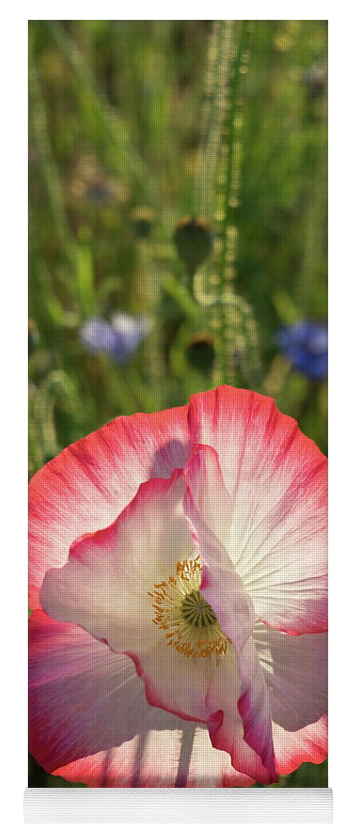 Poppy Yoga Mat featuring the photograph Poppy blossom in the sunlight by Adriana Mueller