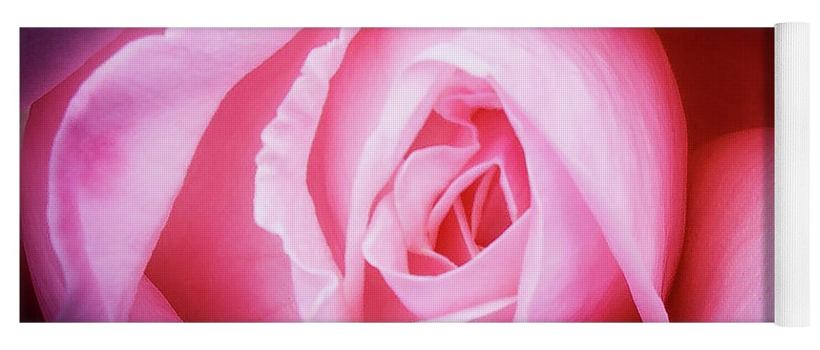 Pink Rose Yoga Mat featuring the photograph Pink Rose by David Morehead