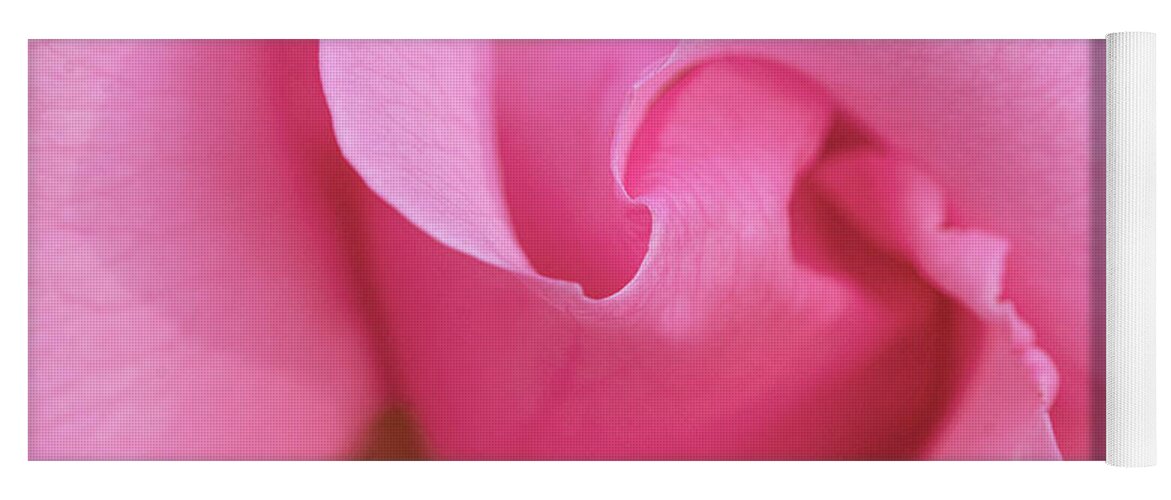 Pink Yoga Mat featuring the photograph Pink rose macro by Gareth Parkes