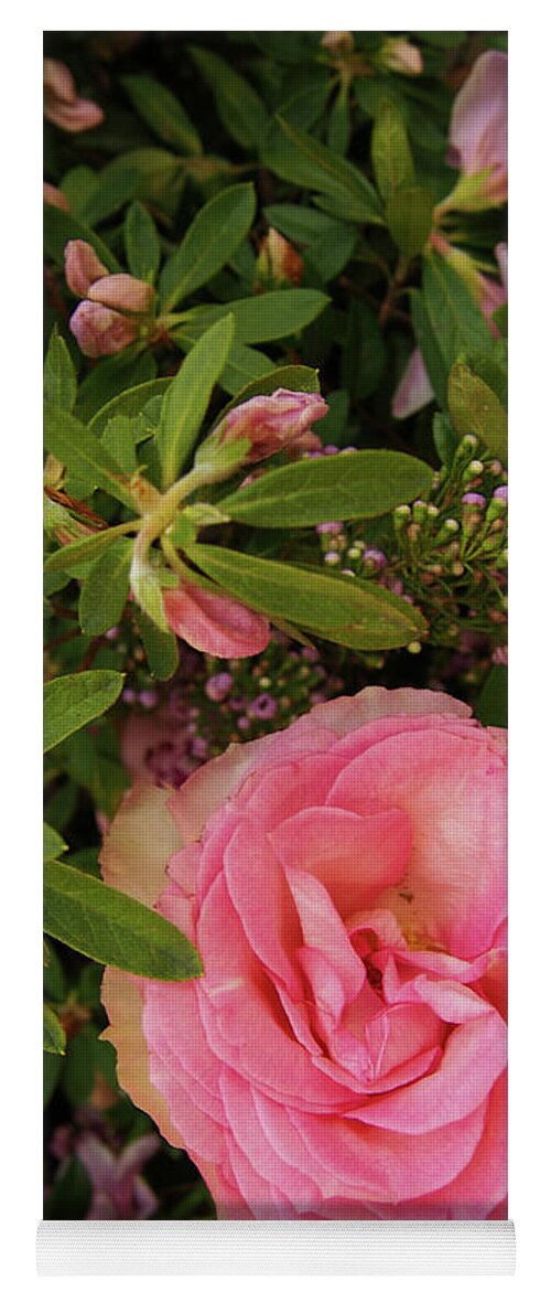 Pink Rose X230330-154 Yoga Mat featuring the photograph Pink Rose x230330-154 by Dorothy Lee